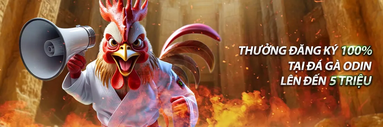 Hỗ trợ khách hàng chuyên nghiệp 24/7