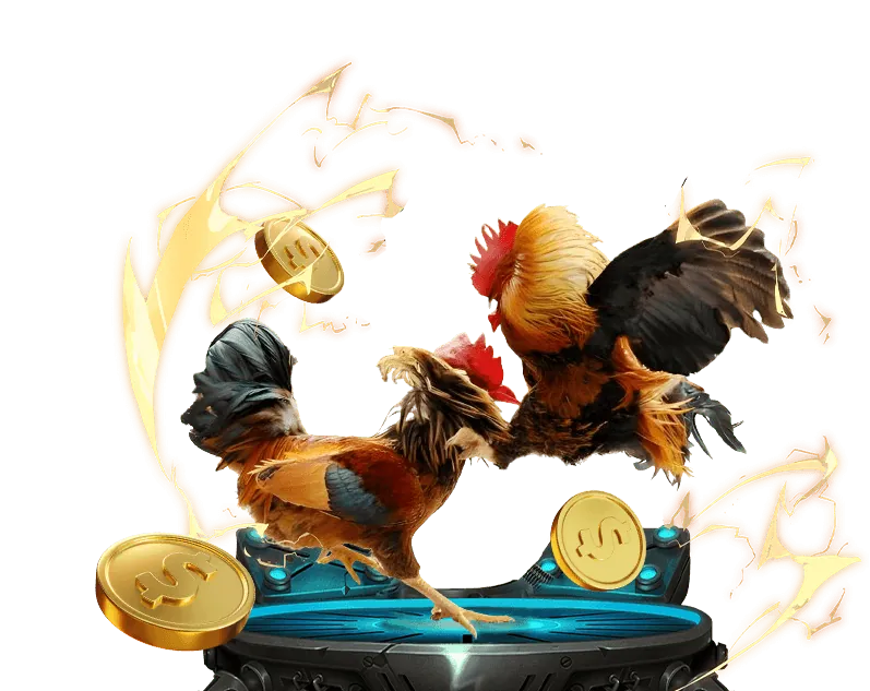 Quyền của người dùng theo GDPR